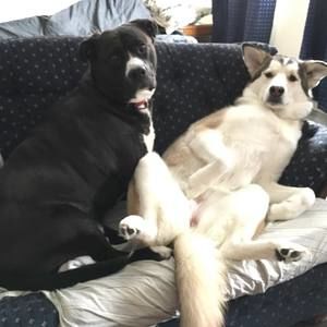 Meet your Posher, Erica